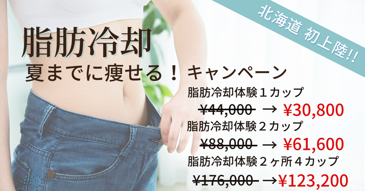 いまだけキャンペーン！冷却　脂肪冷却 2ハンドル 脂肪冷却キャンペーン中 2個ハンドピス付き いまだけ