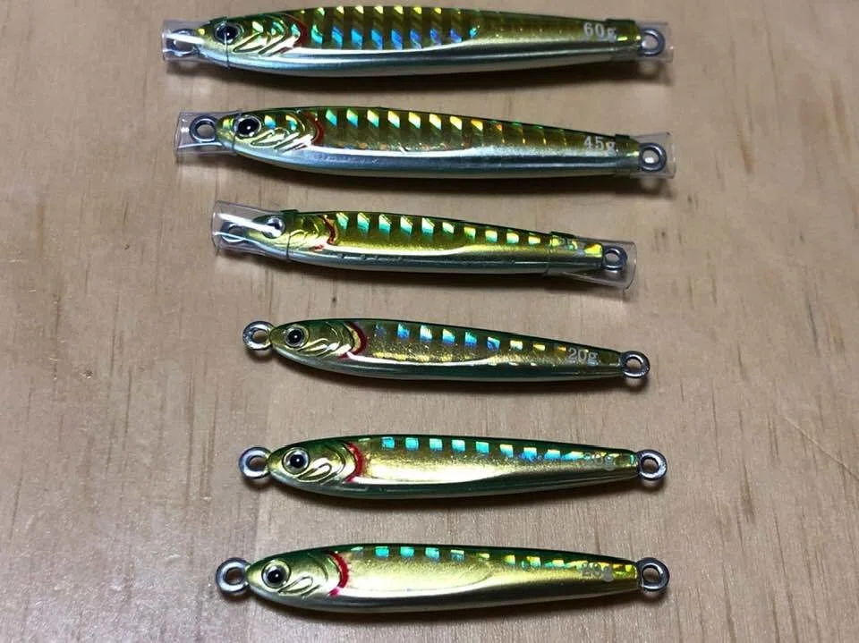 画像5
