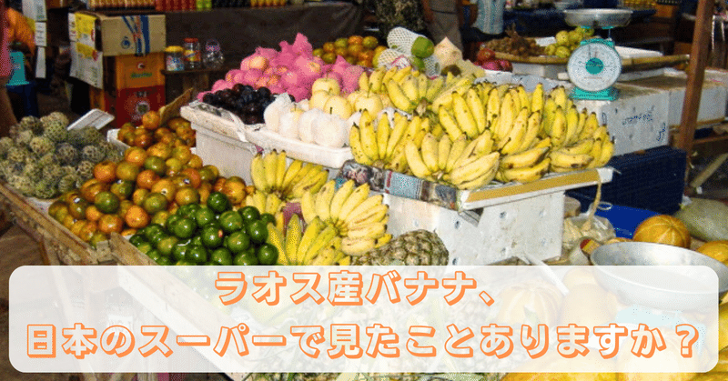 ラオス産バナナ、日本のスーパーで見たことありますか？