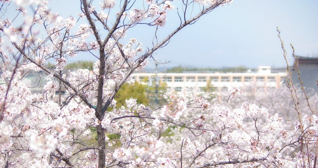 松原和之の「教育考現学」            松原和之の「教育考現学」