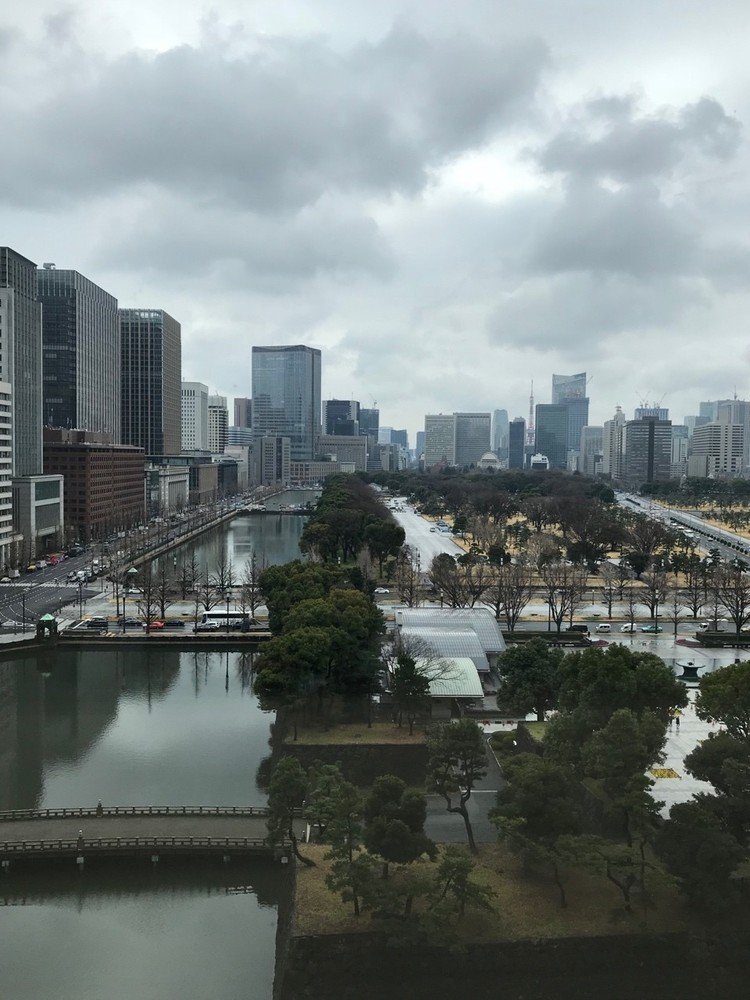 手放せぬ 襟巻直して 雨の後