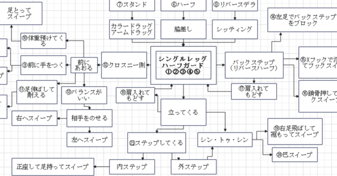 レビュー「木部亮 シングルレッグハーフガードシステムの
