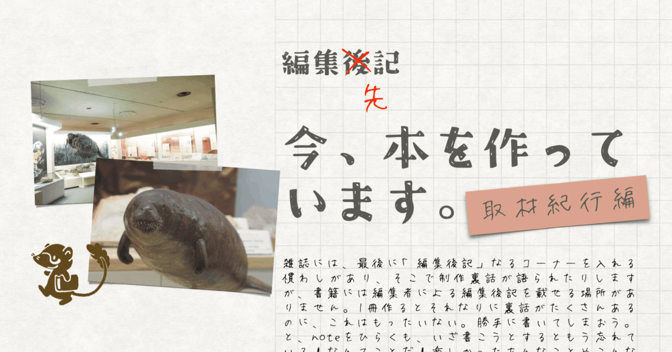 本のはじめに載せる写真を何と言いますか？