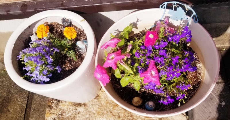 引用 ）多和田葉子『雪の練習生』｜ふゆ