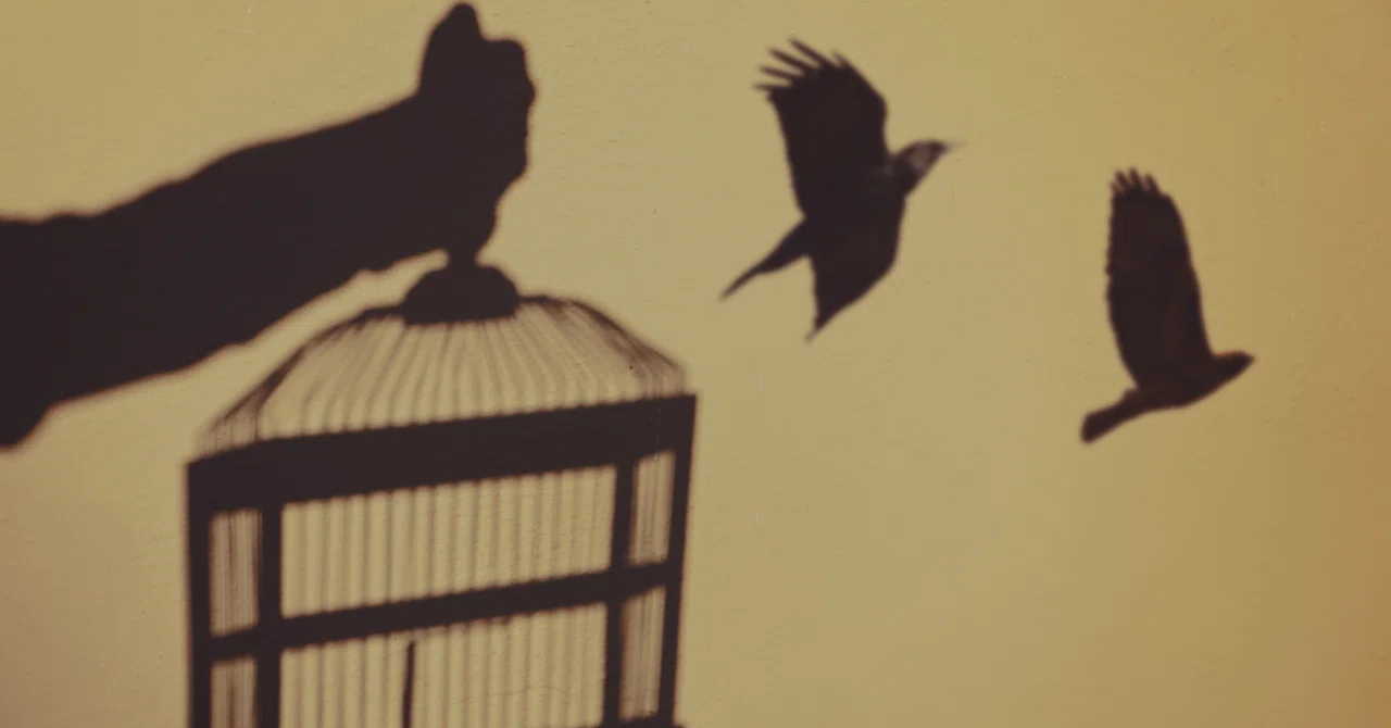 How to Let Go with Conviction by Enneagram Type: Introduction｜牛尾恵理🌈習慣化コーチ