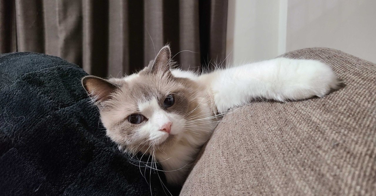 株式会社トラーナの CTO を退任します