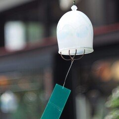 セイケトミオ ｜shirasu camera