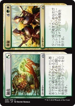 MTGアリーナ 各色で良く使われてるカード達 2色10パターン編