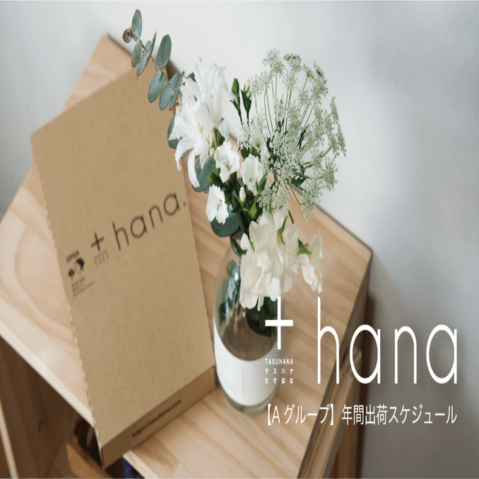 2023年 +hana 定期便 【Aグループ】出荷スケジュールについて｜＋hana