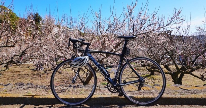 Twitterおもしろ自転車アカウント3選 いなり Note Twitterおもしろ自転車アカウント3選 いなり Note