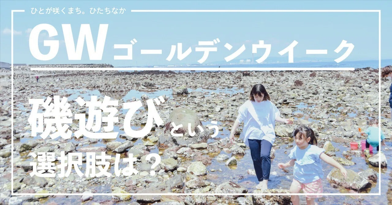 海磯などでフィッシングやられる方　必見 GW】ひたちなか市で