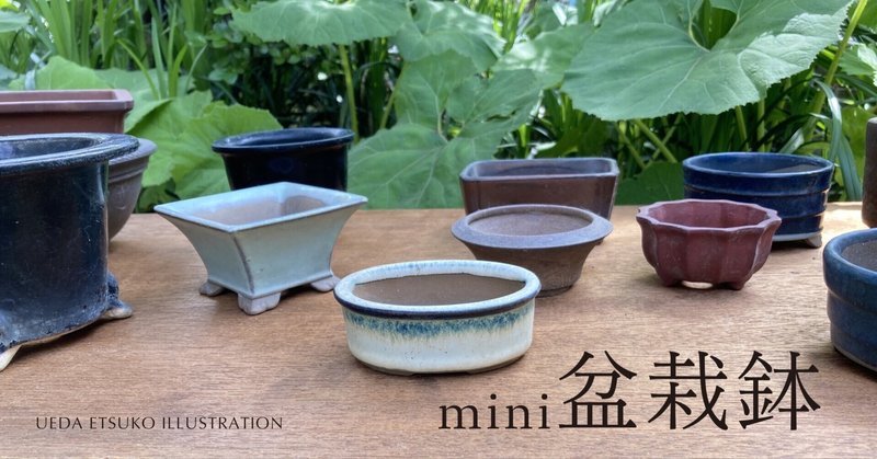 mini盆栽鉢