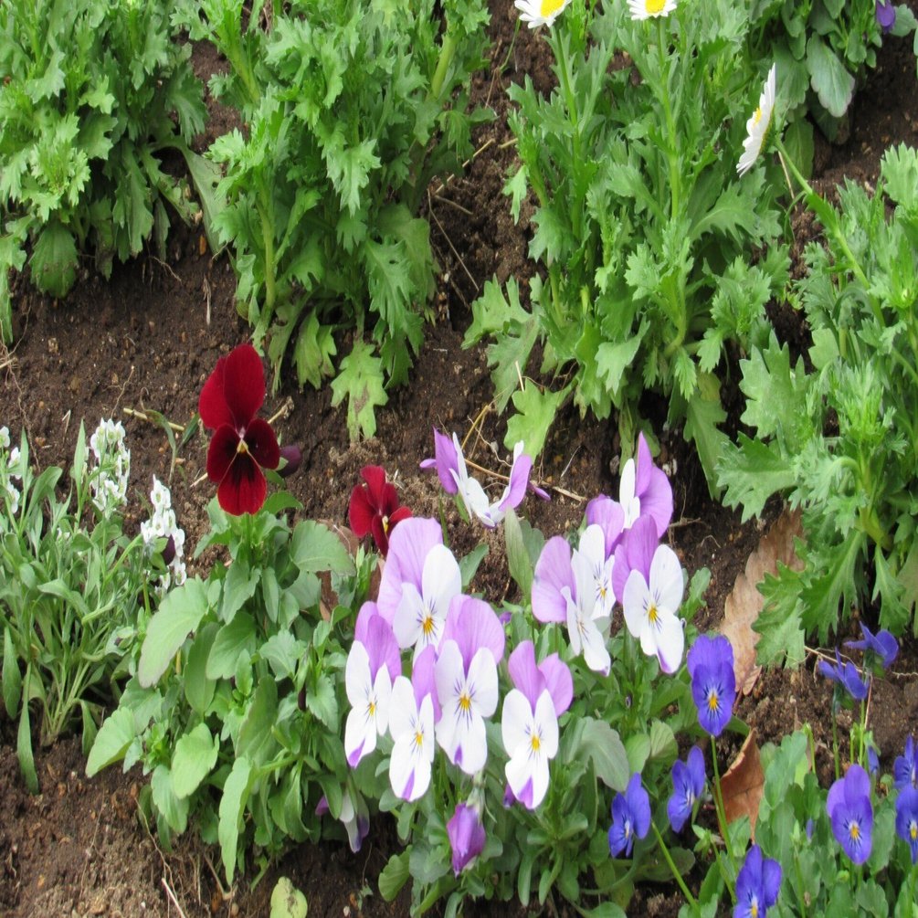 奇跡のような演劇 別役実｜ウオールデン