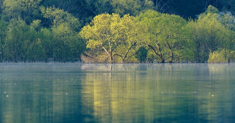 【山形県白川湖】幻想的な風景を湖上で味わう！最高の水没林カヌー体験