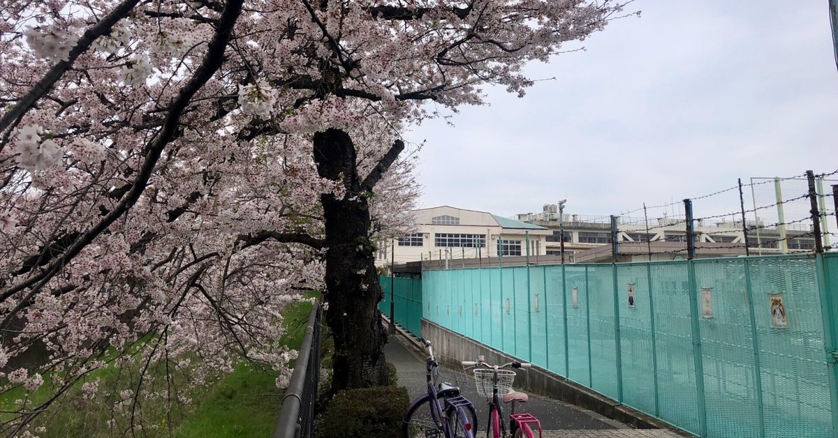 赤い公園 『THE PARK』 - 1｜rayf