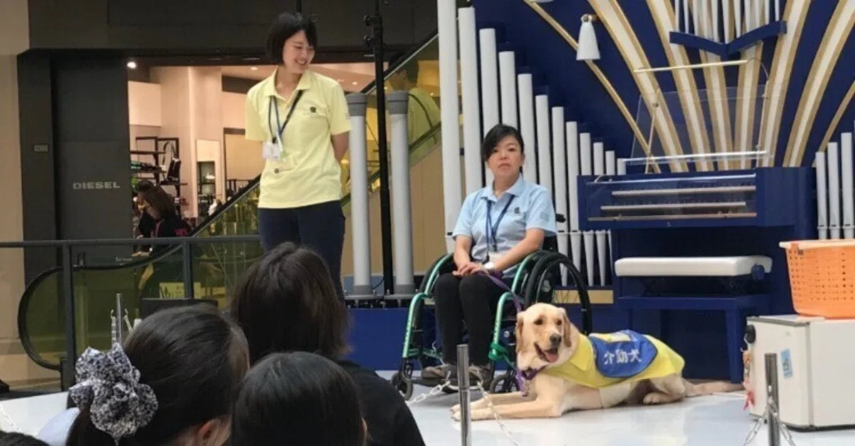 ☆あい☆さま 柴犬 GON 切ない