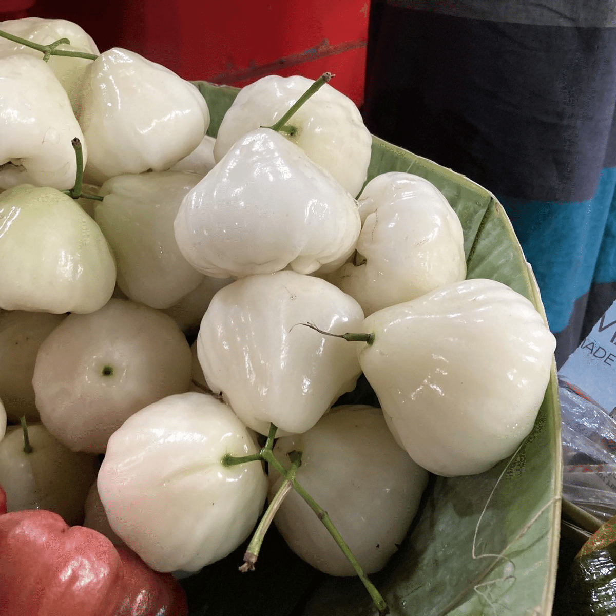やっと食べた、つやつやプルプルの果実｜カーン江夏未花