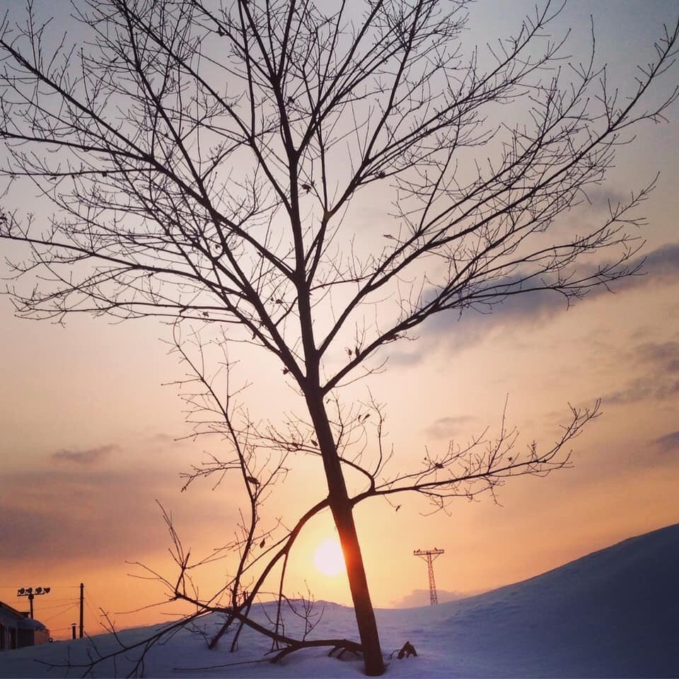 今夜はなごり雪 名残の雪と言っても北海道はまだ春遠く 普通に雪か 地域によっては吹雪らしいので お気をつけください 菅野 学 写真家 Note
