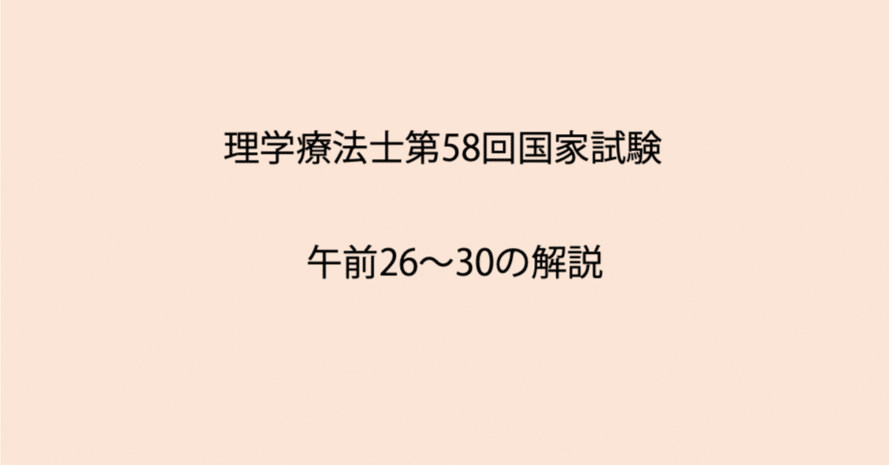 筋骨格系理学療法を見直す 楽天市場】筋骨格系理学療法を見直すの通販