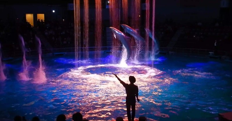 一生忘れられないイルカショーがある水族館5選