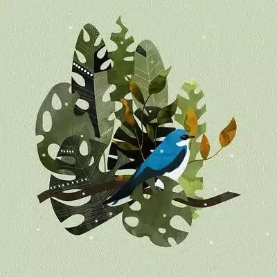 一　リュウキ