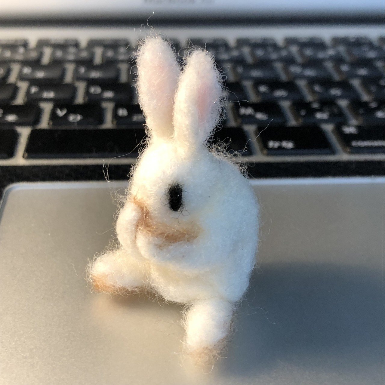 顔を洗う白い子ウサギ Angelrabbits Note