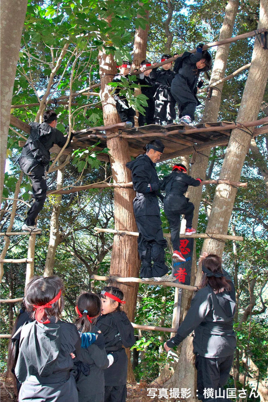 画像7