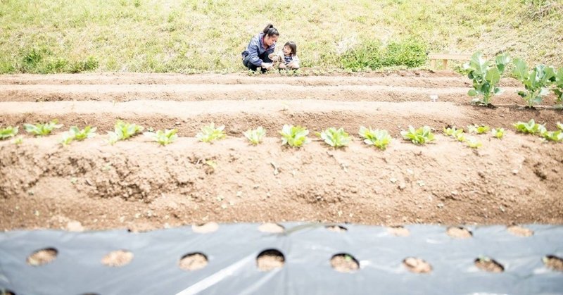 命に執着する とは 母 土 そして写真 小池菜摘 Note 命に執着する とは 母 土 そして写真 小池菜摘 Note