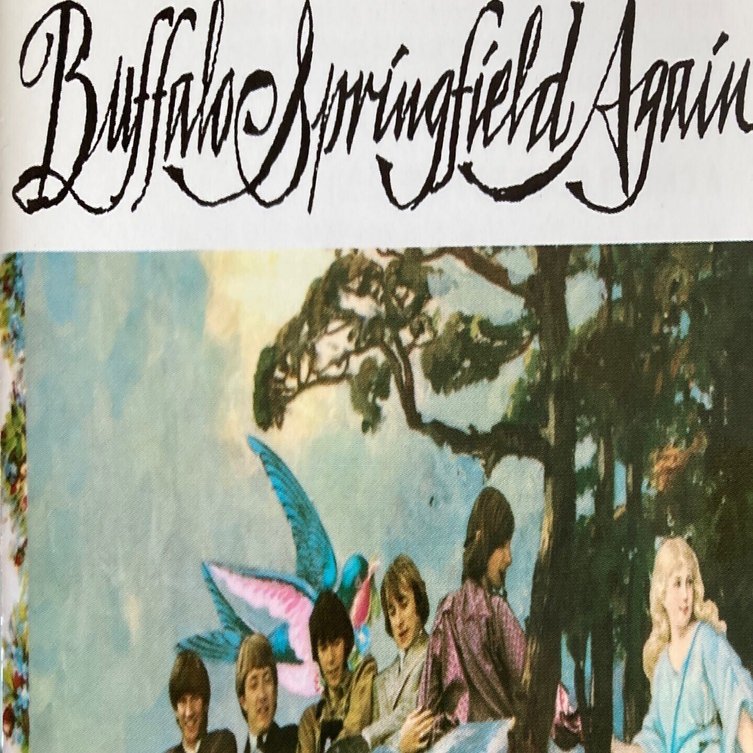 Buffalo Springfield / Buffalo Springfield Again (1967)｜no good