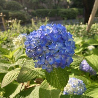 経済原論概説 第5回 剰余価値説|堂 慈音