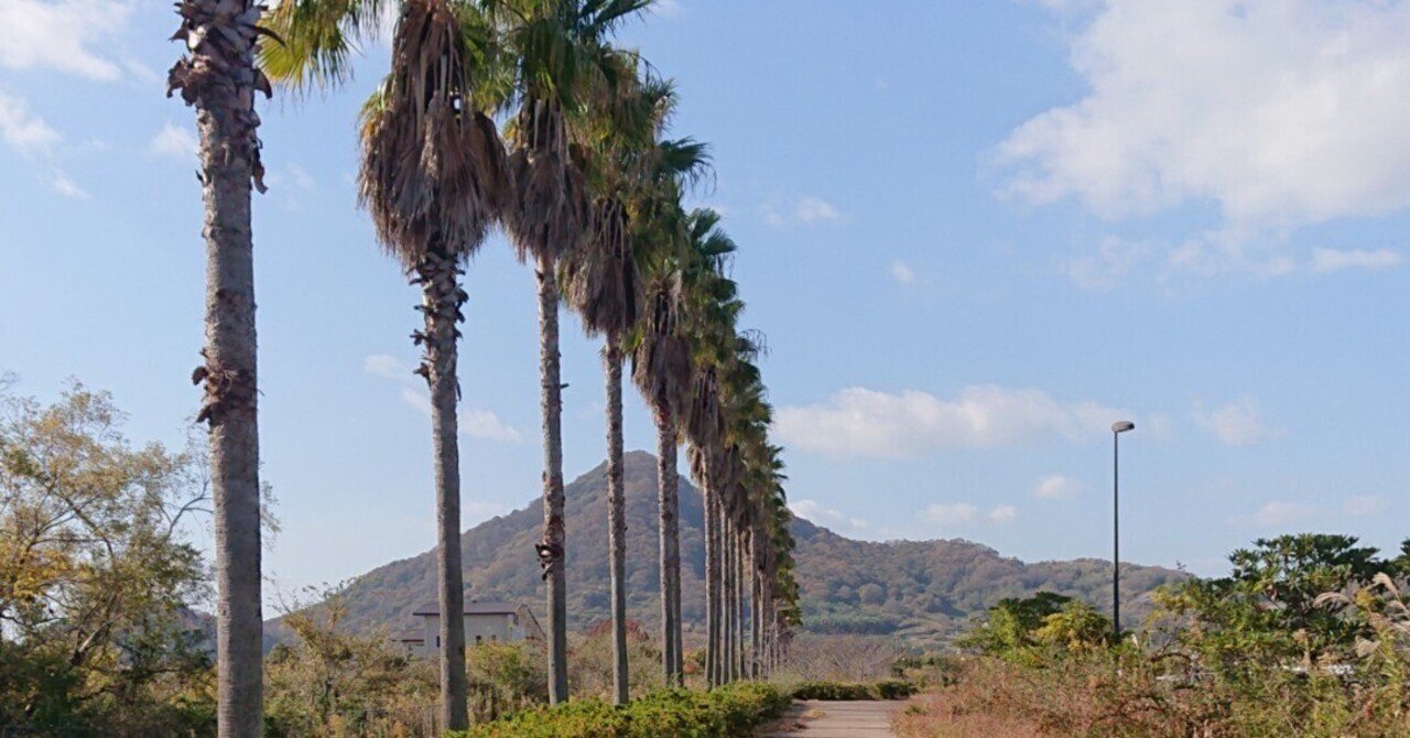 ヤシの木がある光景｜take@note大学🥚No.174