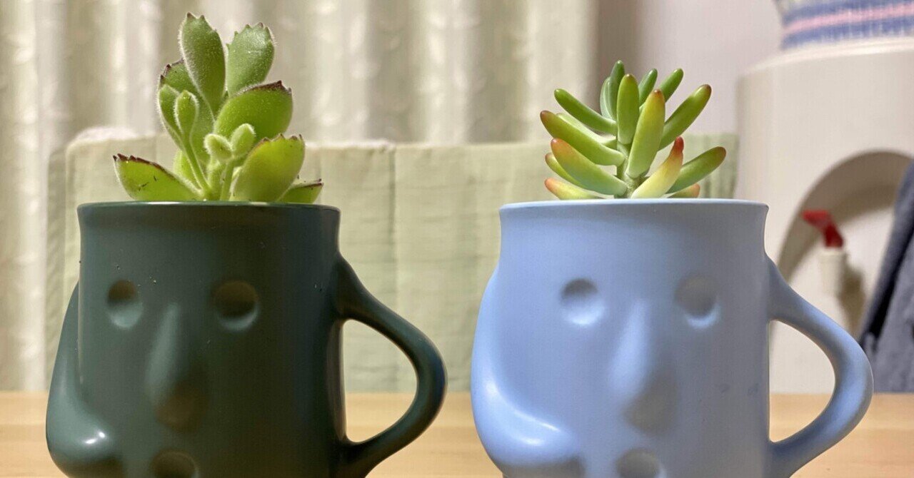 ぷりんの植肉植物 はにわぷりん＆多肉植物｜イキル☆トリコ