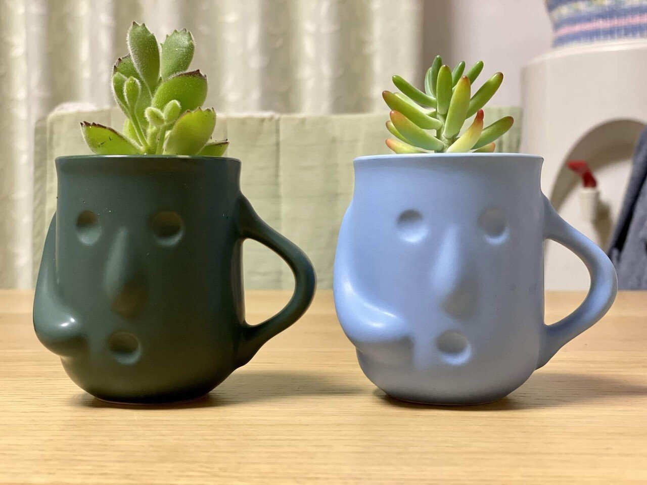 ぷりんの植肉植物 ぼの交配 #すず風 #多肉and雑貨フェスinいわてvol3 熱心な 趣味