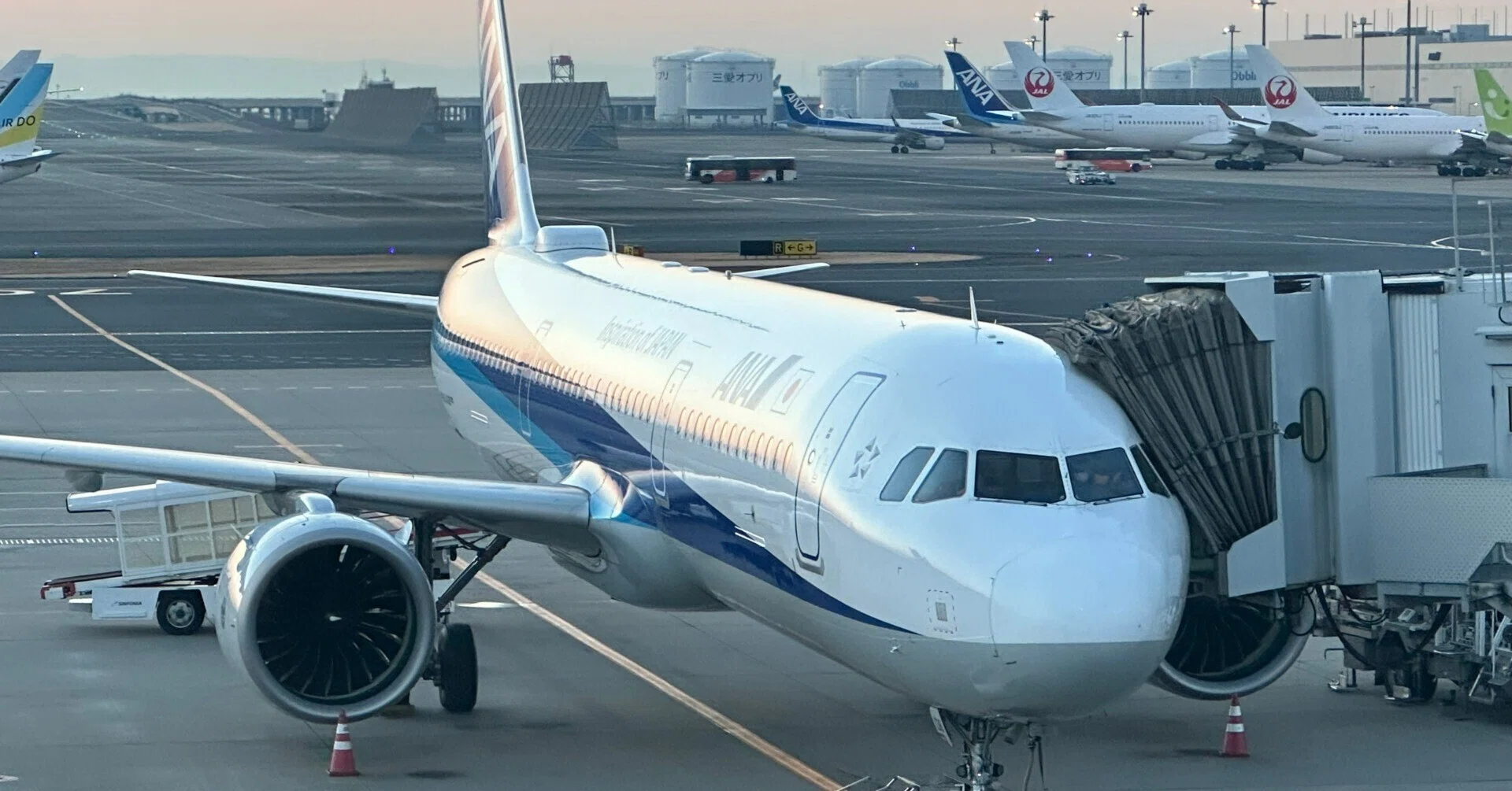 空からサぱを見てみよう！｜日本サぱ協会