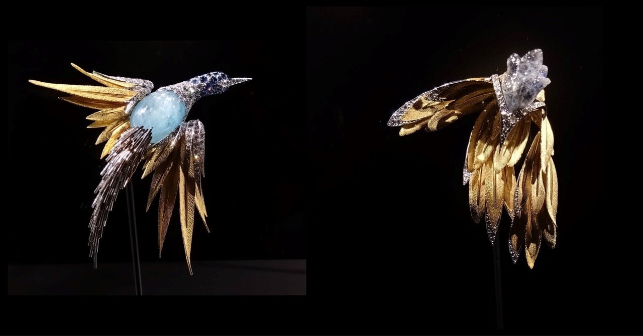 【剥製】極楽鳥 希少な極楽鳥の剥製