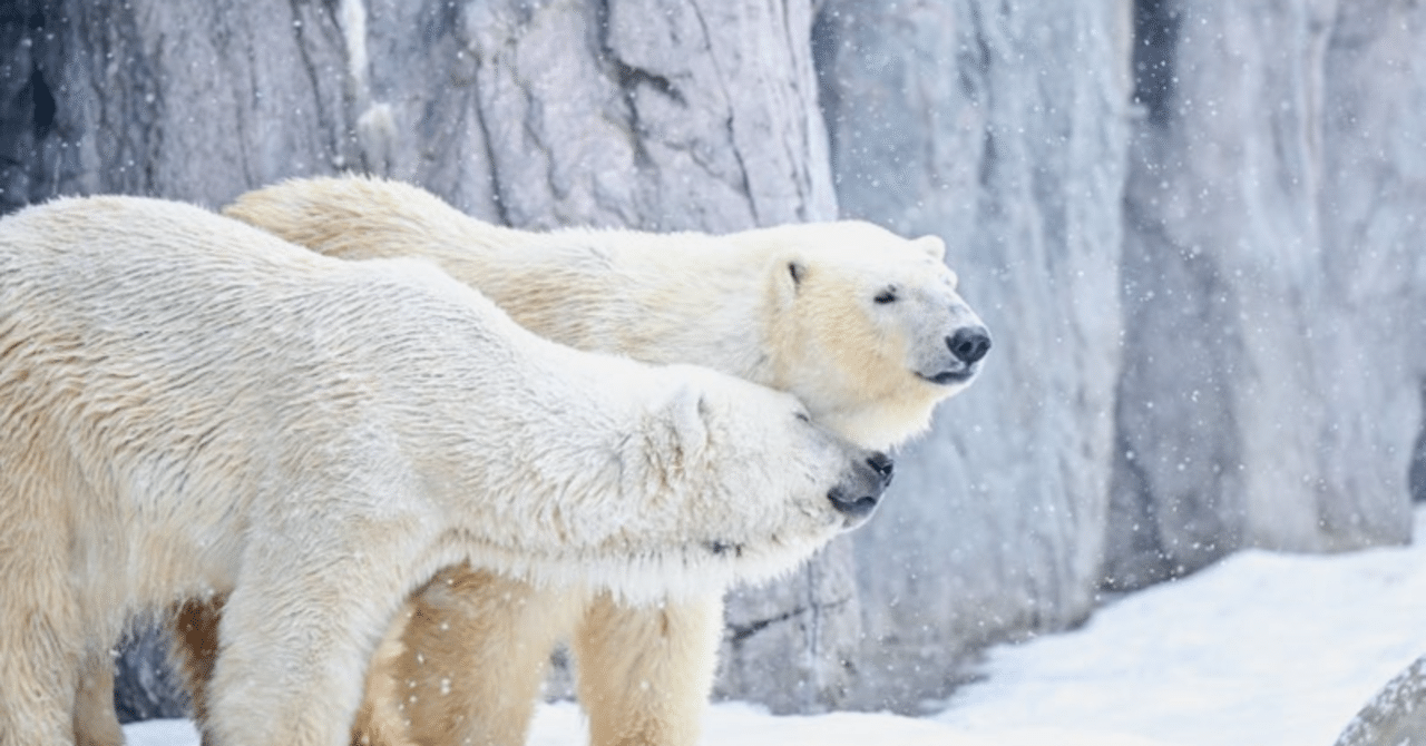 つなぐ、読み直す、すべてを変える