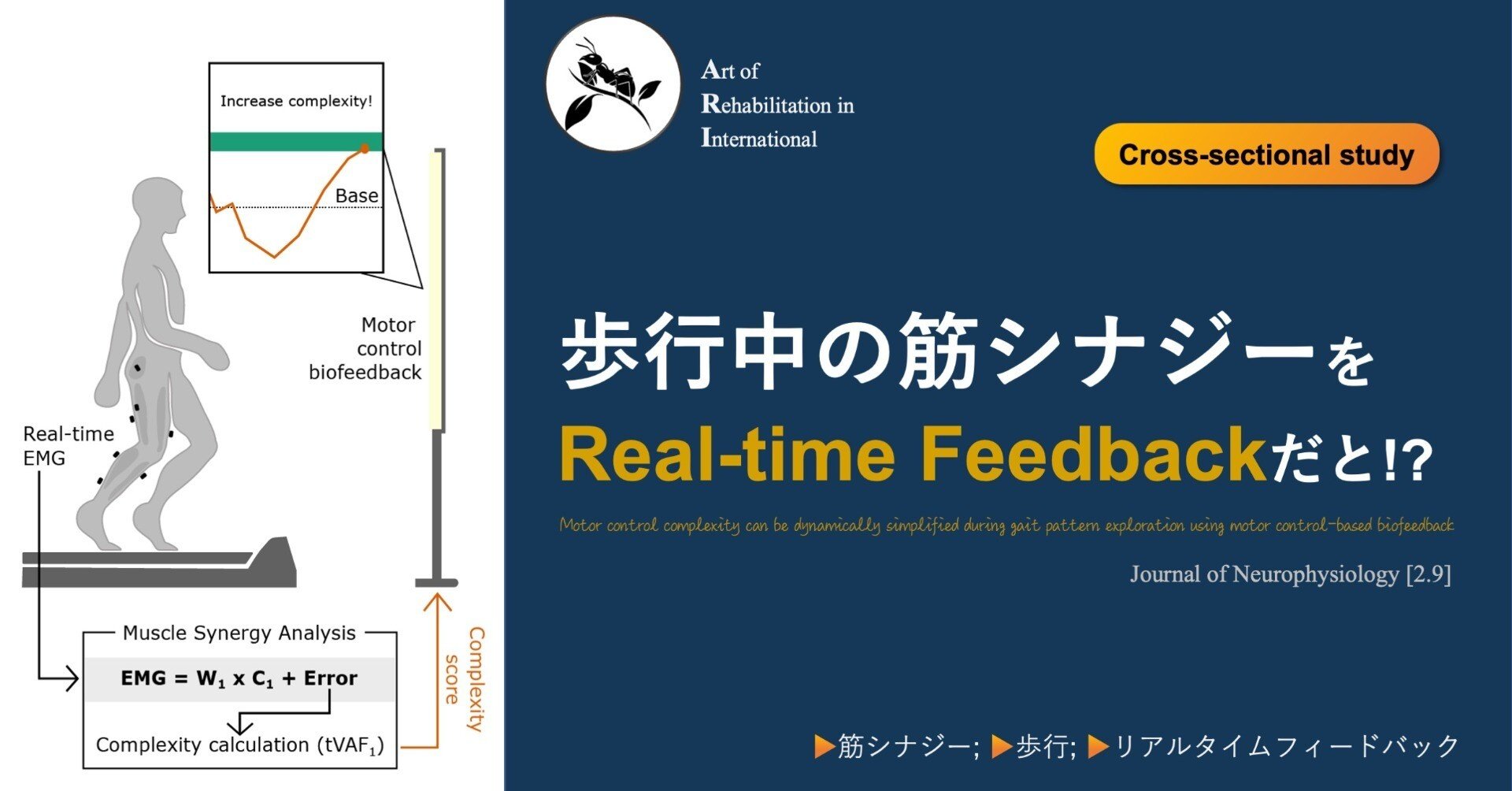 歩行中の筋シナジーをReal-time Feedbackだと!?｜Super Human