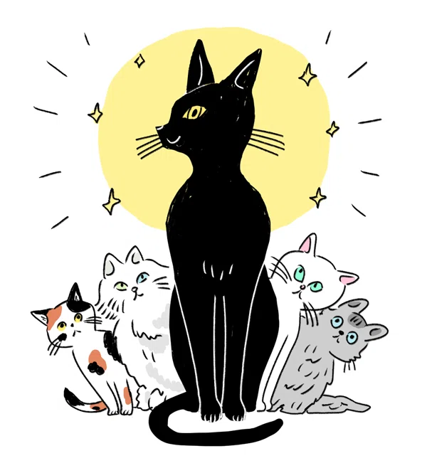 黒猫感謝の日って知ってる？｜ヤマト運輸公式note