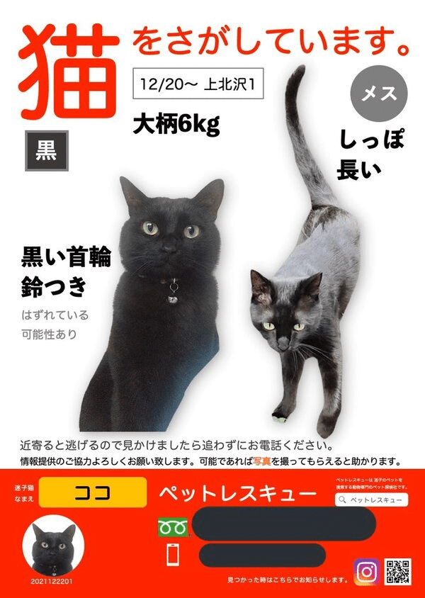猫探偵が行く！にゃんこの事件簿—ペットレスキューに密着レポ—｜ヤマト