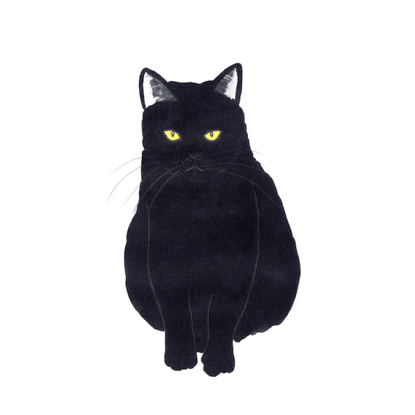 三毛猫仔猫（プロフ必読）ページ 三毛猫( ΦωΦ ) - ibisPaint