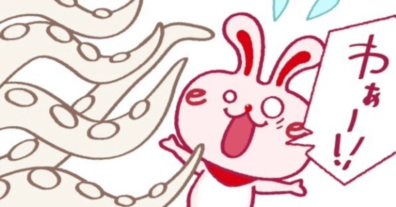 いい 部屋 ラビット