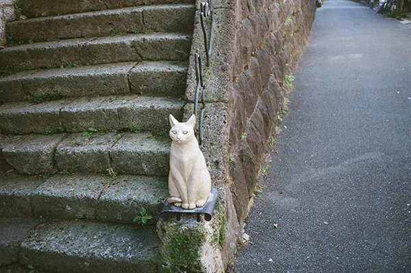 東の谷中と西の長崎でねこ探し！日本全国津々浦々ねこスナップ｜ヤマト