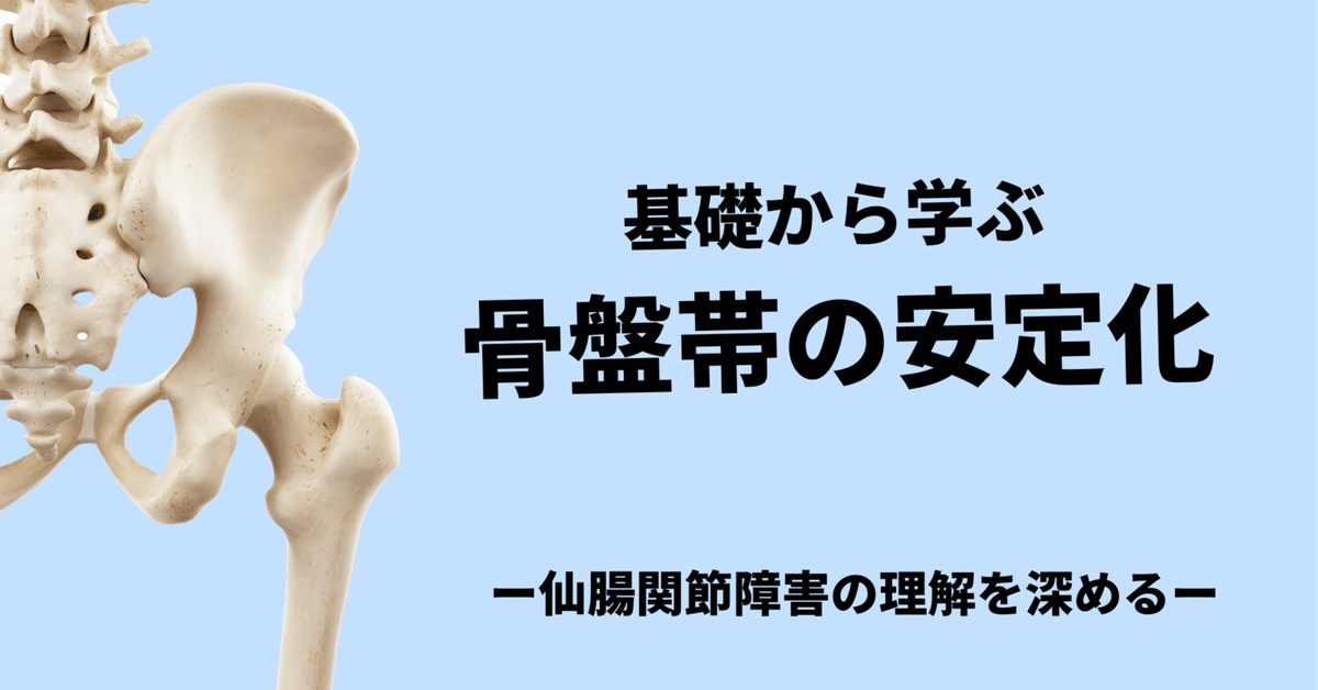 LemOon,, 専用 ①運動機能障害の理学療法 ② 骨盤と仙腸関節の機能解剖 LemOon,, 専用 ①運動機能障害の理学療法 ② 骨盤と仙腸関節の