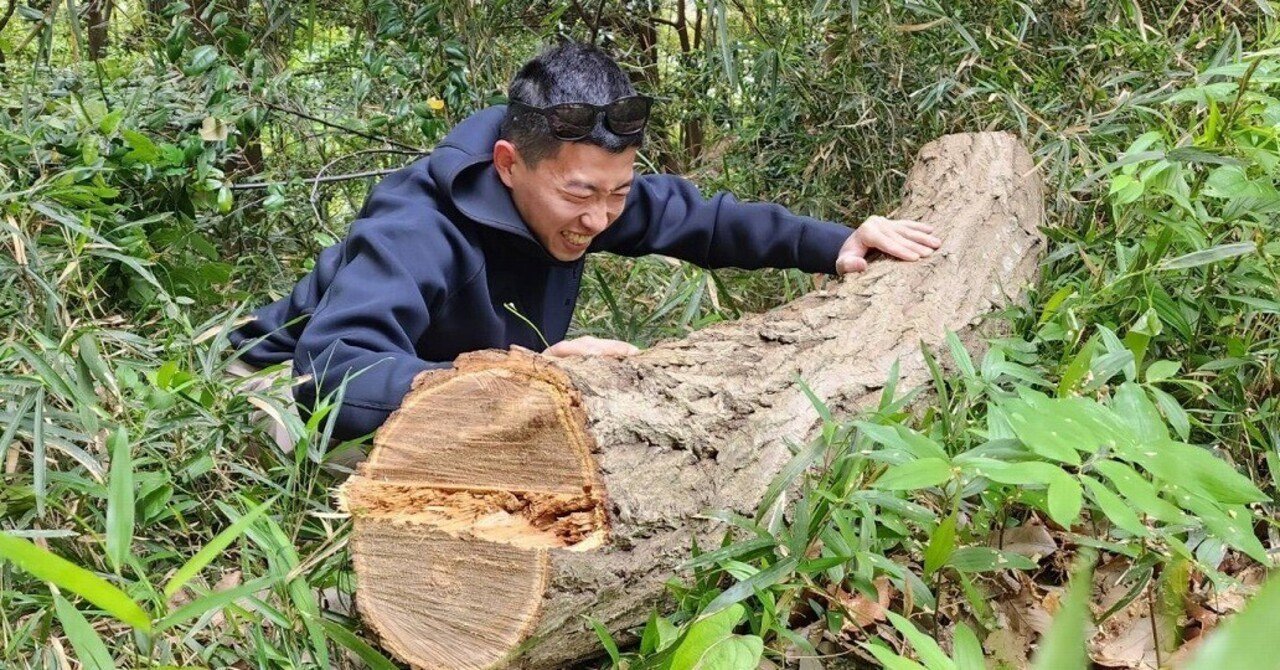 立枯れ木の撤去｜川崎市黒川青少年野外活動センター