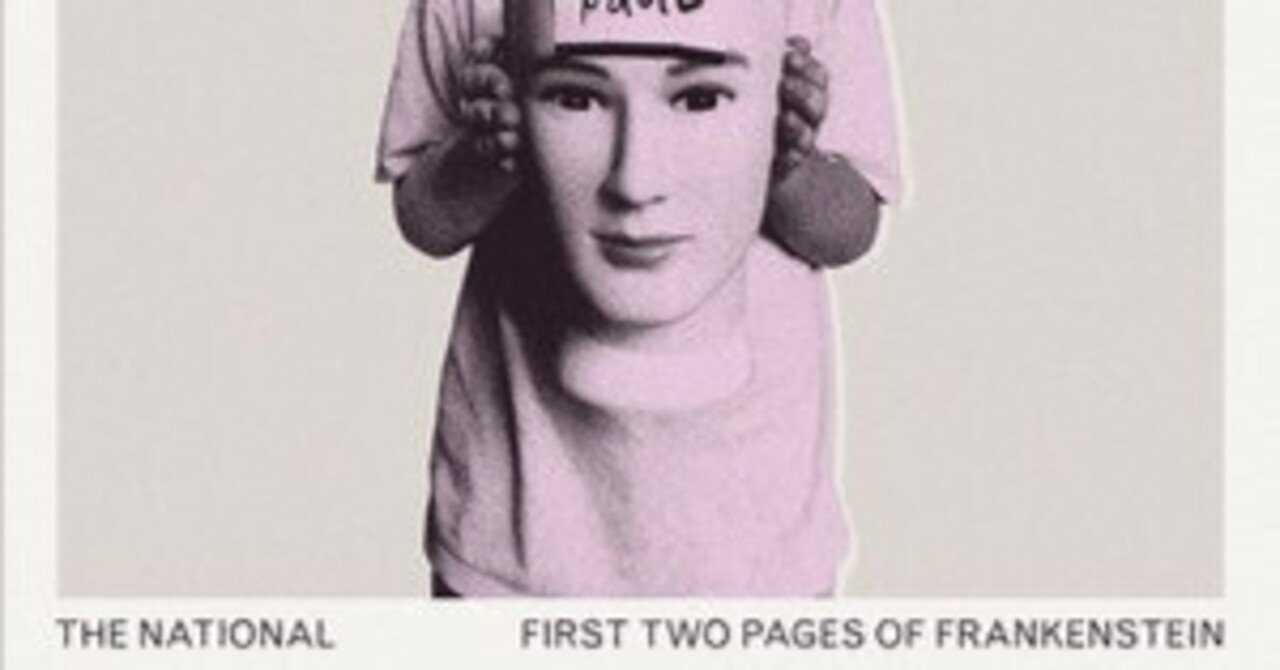 ニメスリダ・テウトのリーフレット