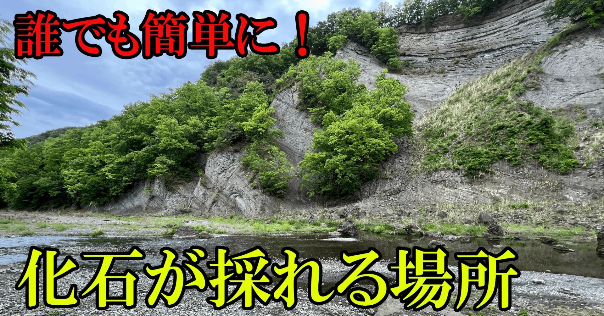 rectangle_large_type_2_1517e4a