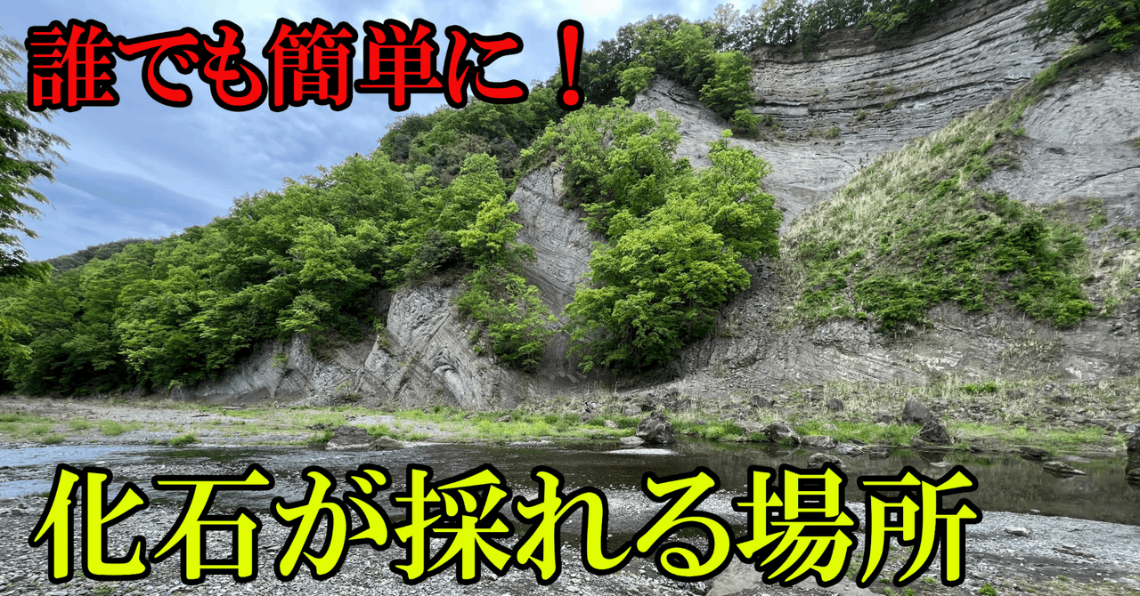 誰でも簡単に！秩父で化石が採れる「ようばけ」｜涌井 元気