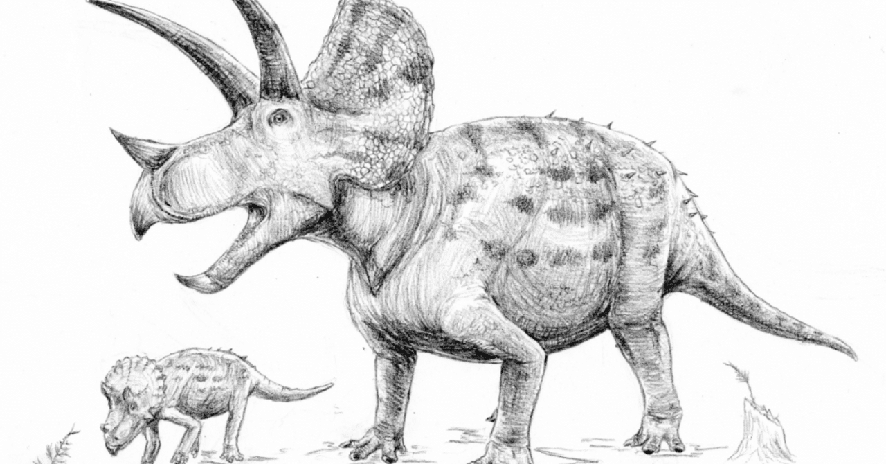 生存するのは弱い生物