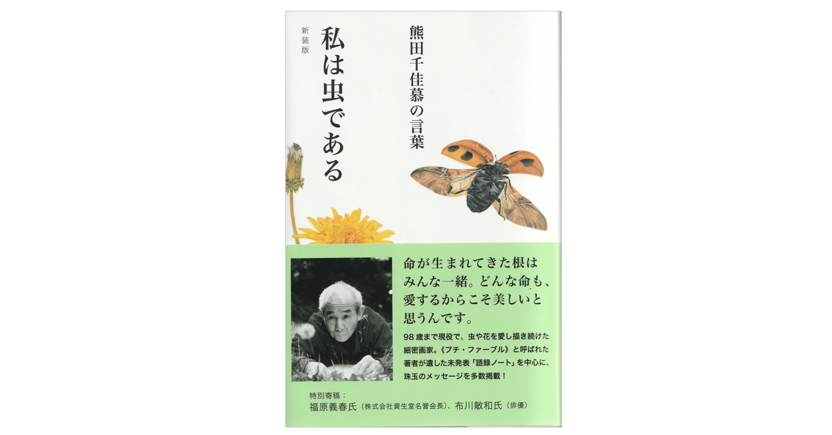 熊田千佳慕『新装版 私は虫である』｜KAZE