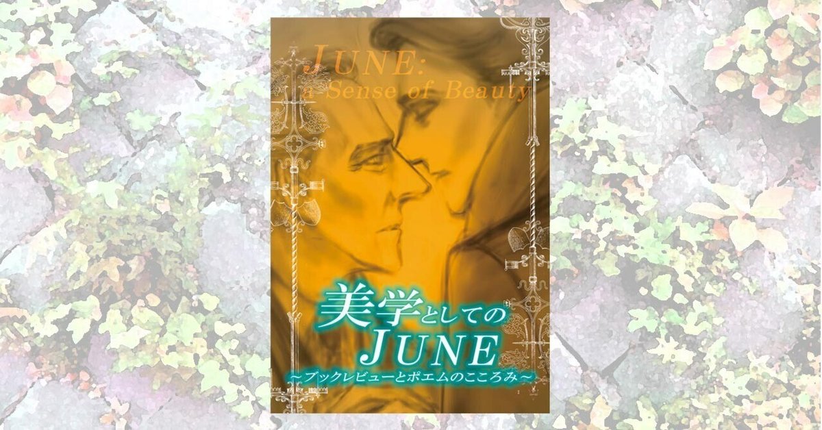 小説June ジュネ 1993〜95年まとめ売り 12冊+小説イマージュ 読む側の「JUNE(ジュネ)感覚」 ~